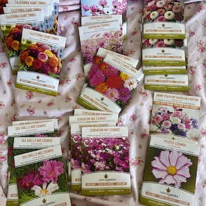Pinkie Cosmos Flower Seeds, Heirloom, Pollinator Friendly - Etsy