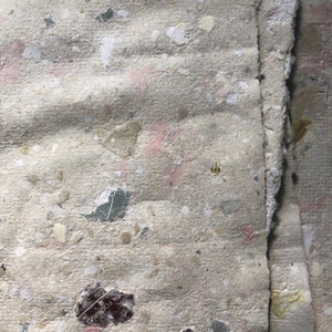 Dylan added a photo of their purchase