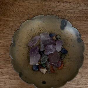 sofft potina sneakers