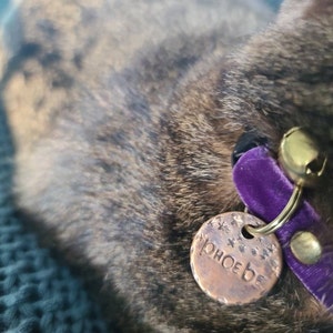 Becca added a photo of their purchase