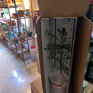 Adriana added a photo of their purchase