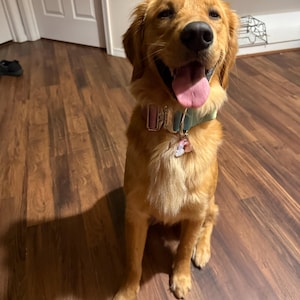 Rosie added a photo of their purchase