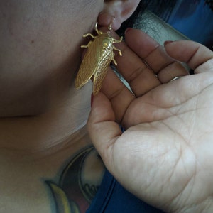 Nancy added a photo of their purchase