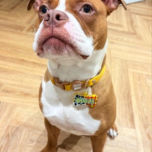 Daisy ha añadido una foto de su compra