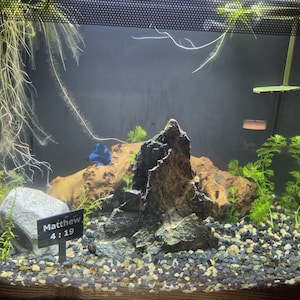 Kelly added a photo of their purchase