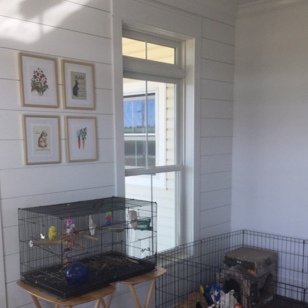 I'm Sorry, Art Print, Rabbit Art, Bunny Art, Charging Cord, Poster ...