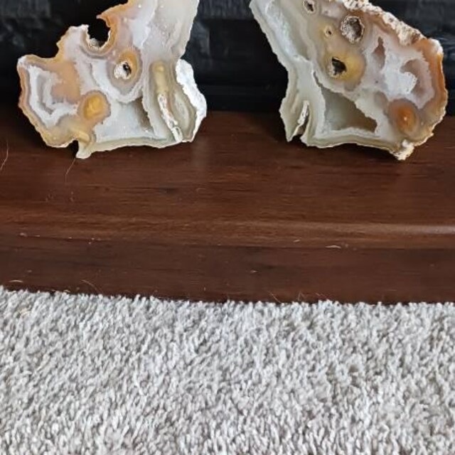 希少な瑪瑙化サンゴジオード - Etsy 日本