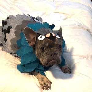 Leslie added a photo of their purchase