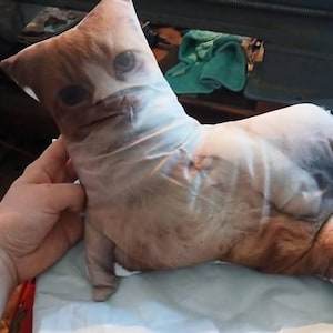 Holly added a photo of their purchase