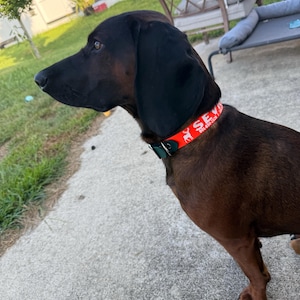 Sydney added a photo of their purchase