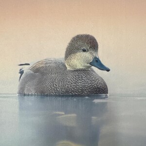 Joe adicionaram uma foto da sua compra