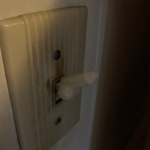 4-Pack Novelty Gag Gift - Penis Cap Covers For Standard Light Switches 14 thumbnail image