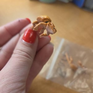 Grace ha añadido una foto de su compra