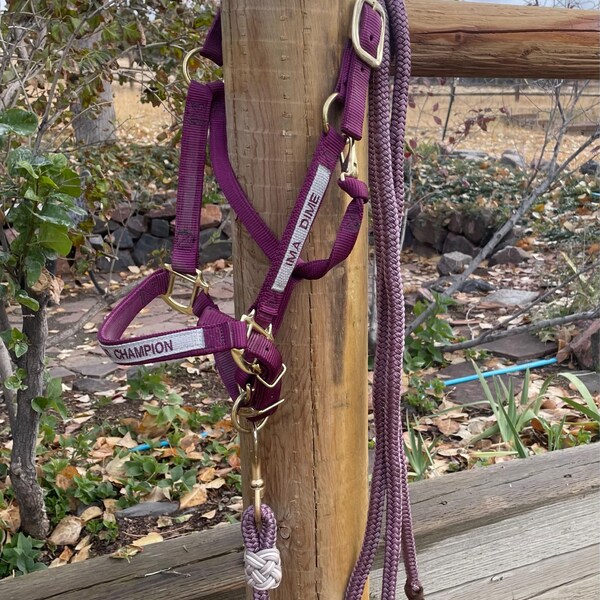 DIY Soft Rope Halter With Step-by-step Instructions and Hand Dyed Rope ...