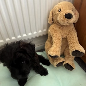 Patricia added a photo of their purchase