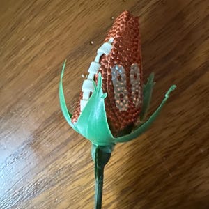 Rachael added a photo of their purchase