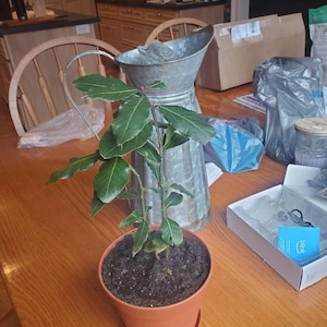 A added a photo of their purchase