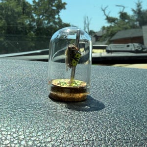 Sarah added a photo of their purchase