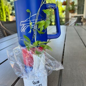 Kim added a photo of their purchase