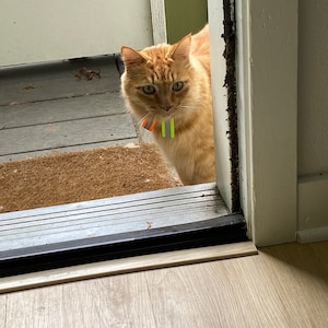 Sally hat ein Foto des gekauften Artikels hinzugefügt