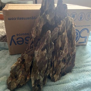 Piedra Dragón (Ohko) Para Acuario Plantado – 20 Libras A Solo $3.25/libra – Hardscape Natural