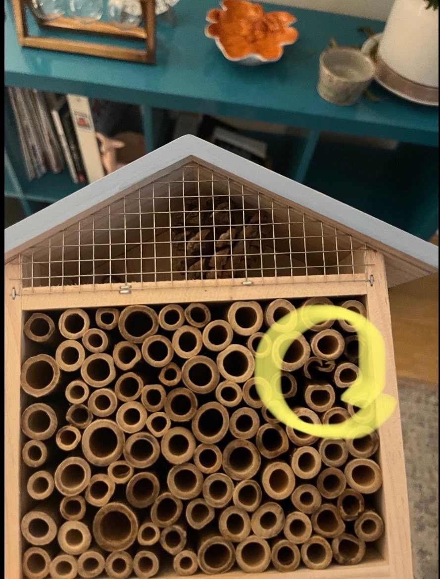 Sunny Pollinator Hotel Mehrzimmerhaus - Blattschneider &amp; Mauerbienen Insektenhabitat Einheimische Gärten Bio-Garten Gärtner Natur Geschenk