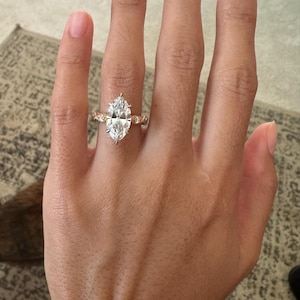 solomon added a photo of their purchase