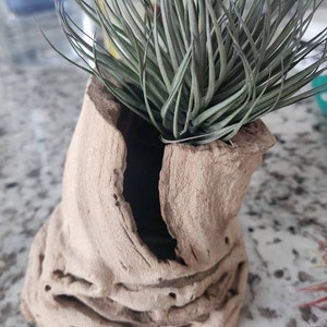 Danielle added a photo of their purchase