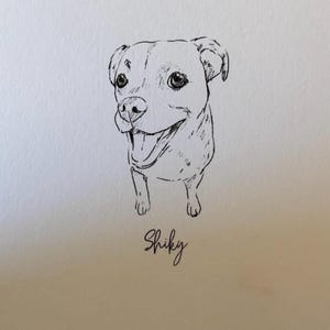 Molly added a photo of their purchase
