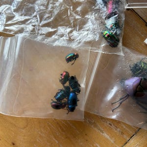 Jasmin added a photo of their purchase