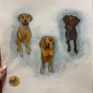 Sonnen heeft een foto van zijn/haar aankoop toegevoegd