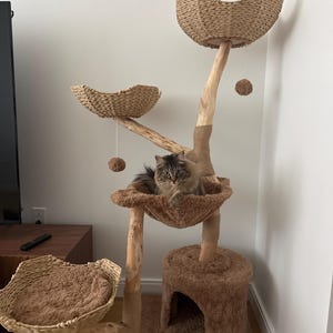 Adrielli さんが購入した商品の写真を追加しました