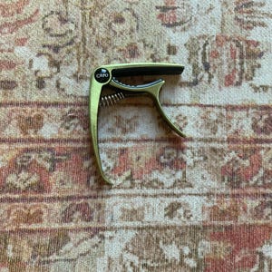 Pauline added a photo of their purchase