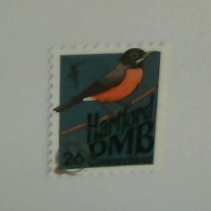 Rachel added a photo of their purchase