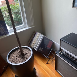 Preston added a photo of their purchase