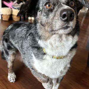 Shani heeft een foto van de aankoop toegevoegd