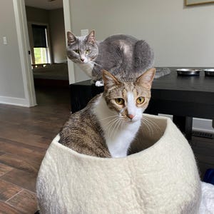 Trami added a photo of their purchase