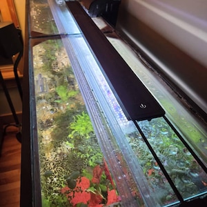John added a photo of their purchase