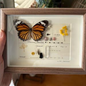 Sarah added a photo of their purchase