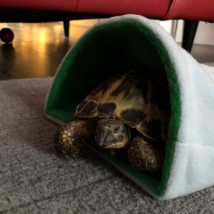Mitzi added a photo of their purchase