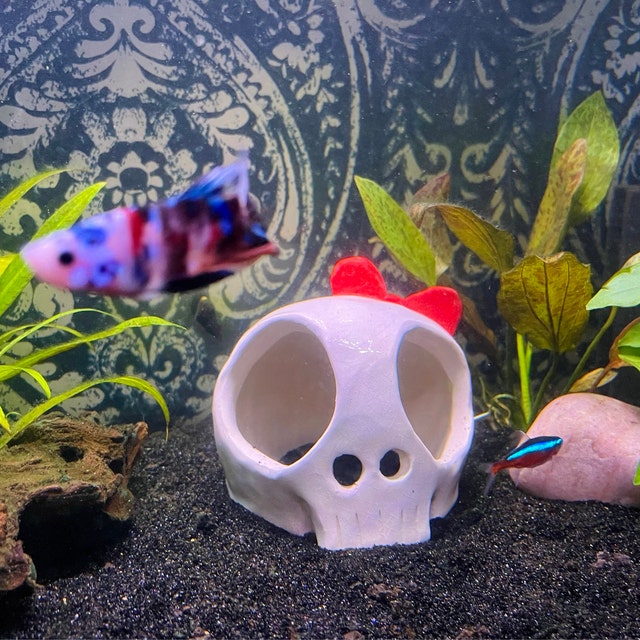 Little Aquarium Skull MADE TO ORDER Femme Fish Tank Decor Betta