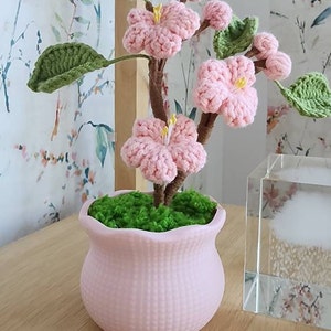 Anna added a photo of their purchase