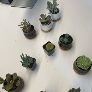 Comprador Etsy adicionaram uma foto da sua compra