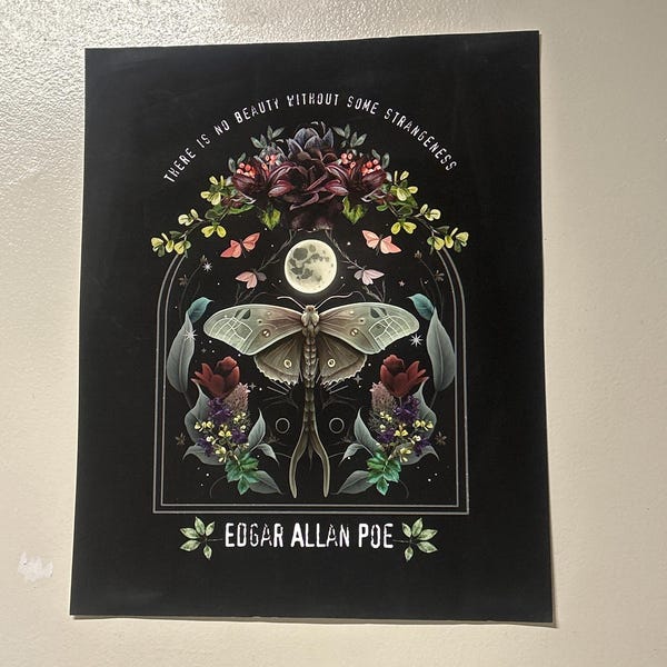 Edgar Allan Poe Dark Academia Original Design Gift Poster Archival ...