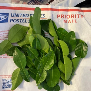 Scott added a photo of their purchase