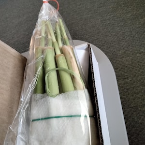 Sharon ha aggiunto una foto del proprio acquisto