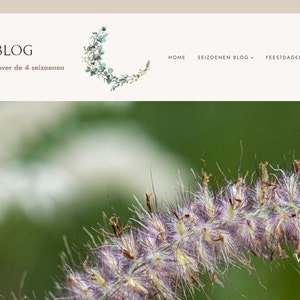 Elsa lade till en bild av sitt köp