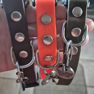 Diane added a photo of their purchase