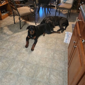 CINDY added a photo of their purchase