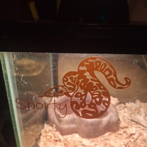 Paul added a photo of their purchase